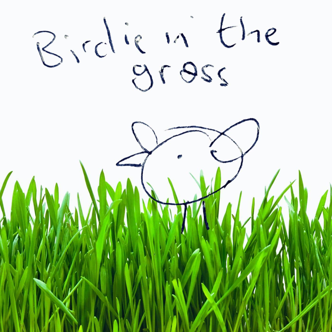 Cover art for Birdie in the Grass