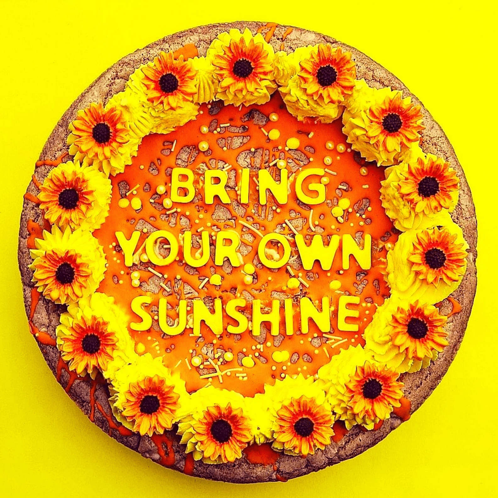Cover art for Bring Your Own Sunshine